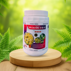 NPK SAO NÔNG 10-60-10