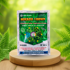 NIKASU 100WP