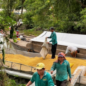 Nhiều mô hình nổi bật trong tái cơ cấu nông nghiệp